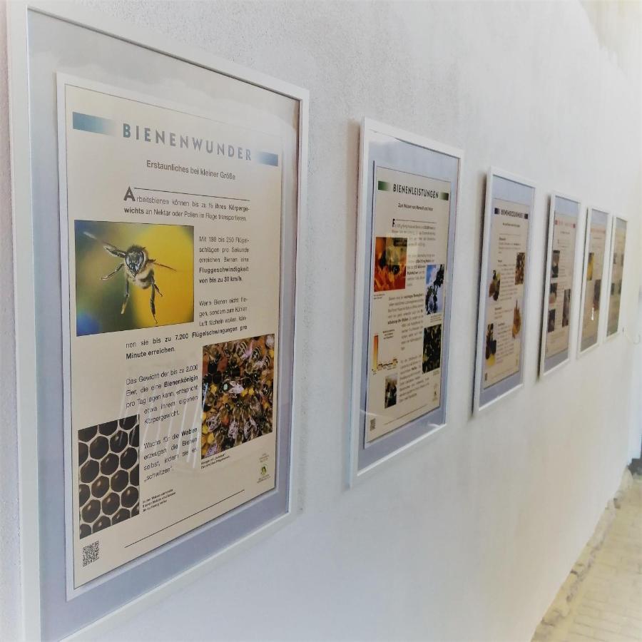 Turmblick-Gaestequartier-Coswig-Hier-Erwartet-Sie-Individueller-Service-Im-Herzen-Der-Altstadt Coswig  Luaran gambar